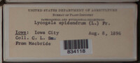 Image Associated With the Occurence